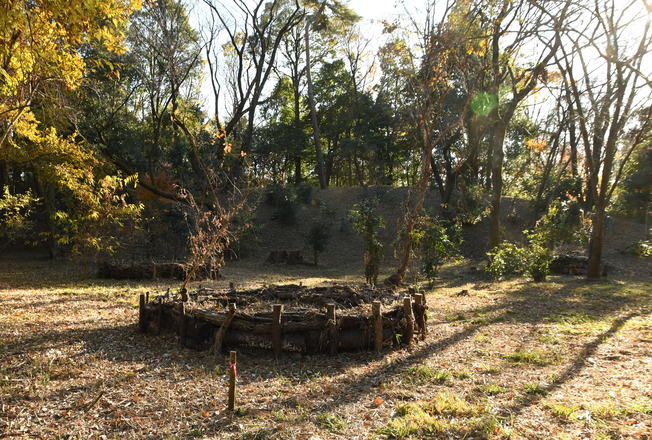 設置したエコスタックの様子(野鳥の森)