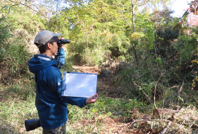 鳥類調査の様子