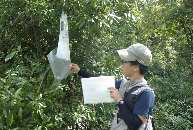 昆虫調査 ライトトラップ確認の様子