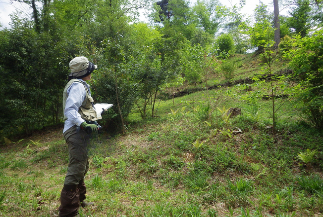 植生調査の様子
